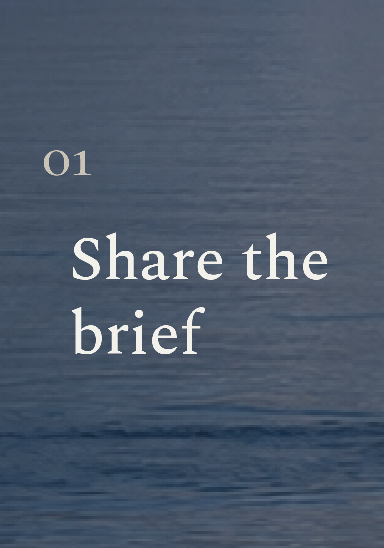 01 — Share the brief